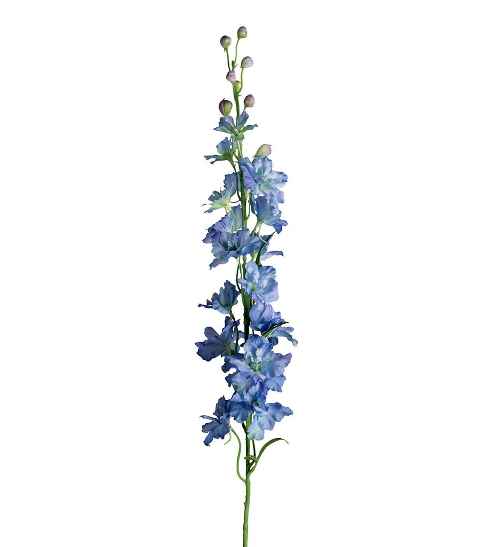 Silkeblomst Ridderspore - 90 cm