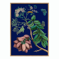 Purple Monbin Plum tree 50 x 70 cm.