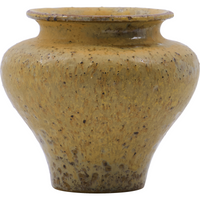 Vase, HDKolo, Sennepsgul