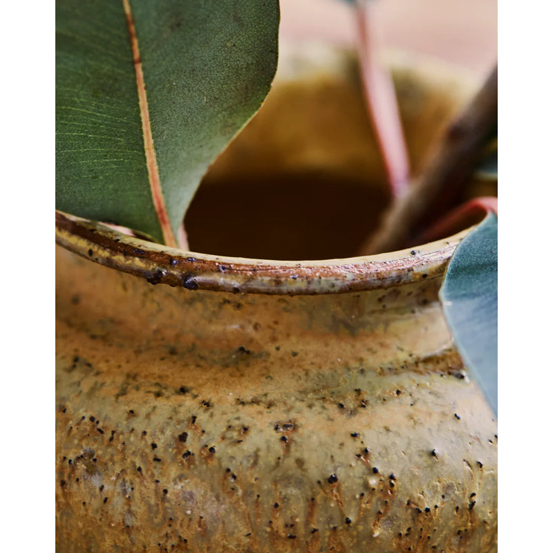 Vase, HDKolo, Sennepsgul