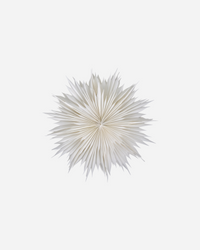 Stjerne HDDust - Offwhite Stor