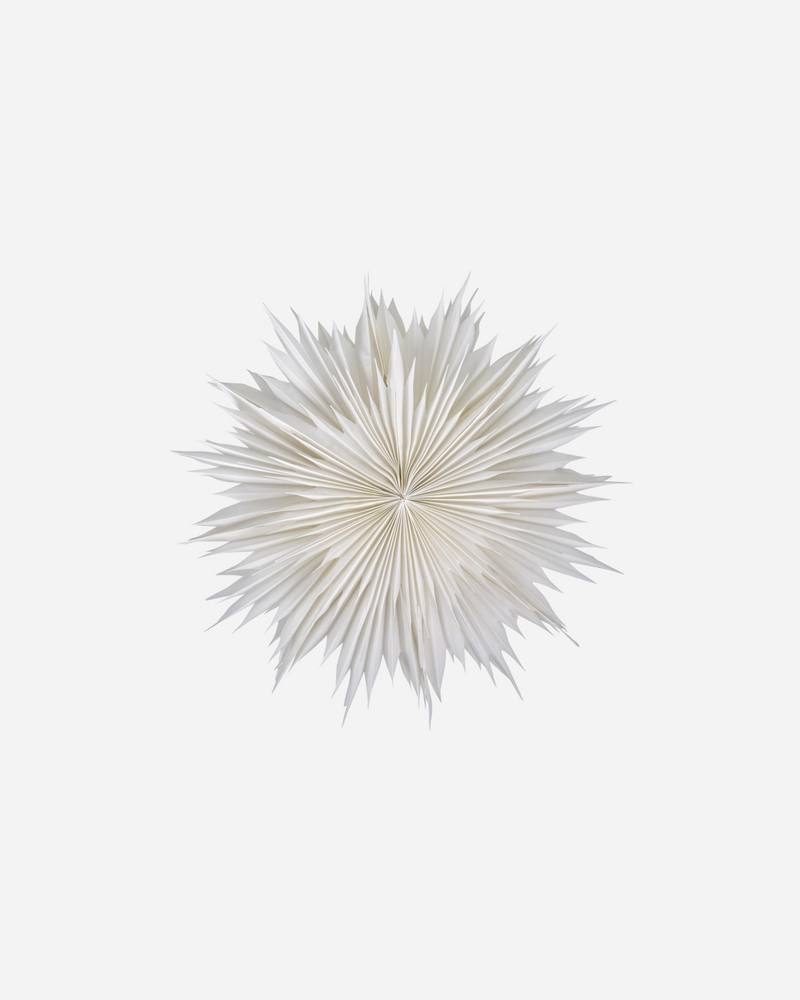Stjerne HDDust - Offwhite Stor