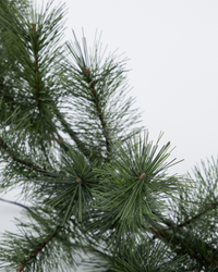 Krans med indbygget LED-lys 45 cm. dia.