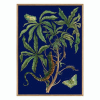 Jatropha Moth and Lezard 50 x 70 cm.