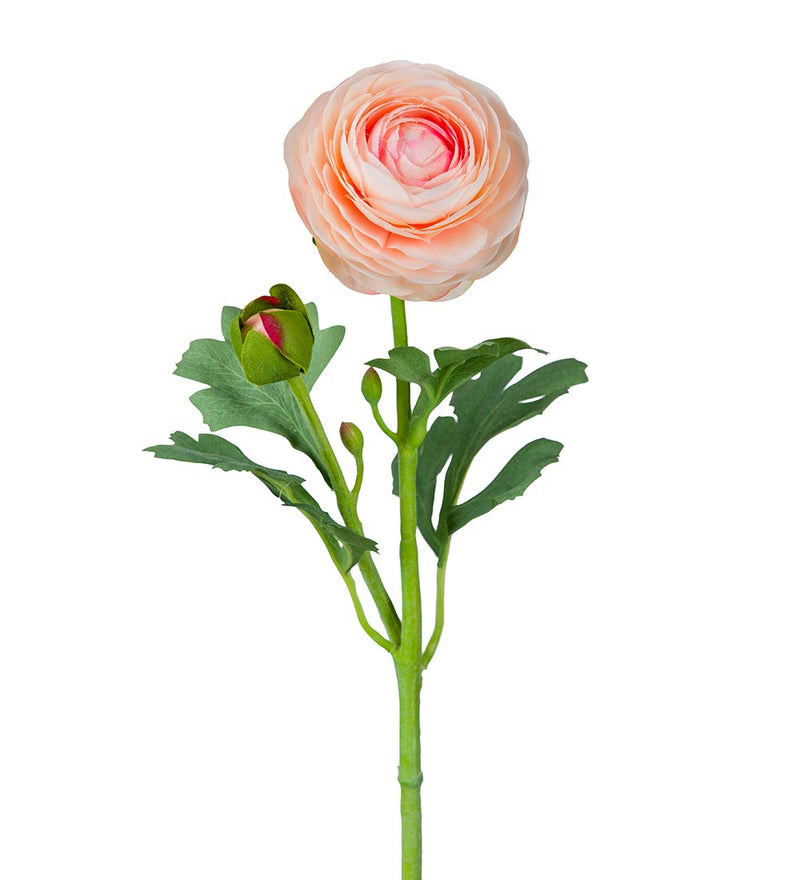 Silkeblomst Ranunkel Abrikos - 50 cm.