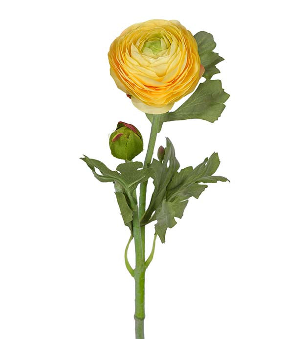 Silkeblomst Ranunkel Gul 50 - cm