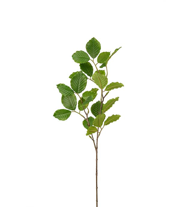 Silkeblomst bøgegren - 65 cm