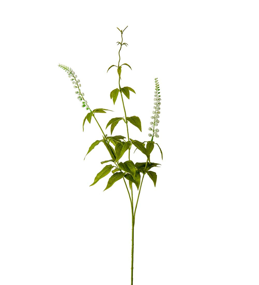 Silkeblomst Lavendel - 70 cm