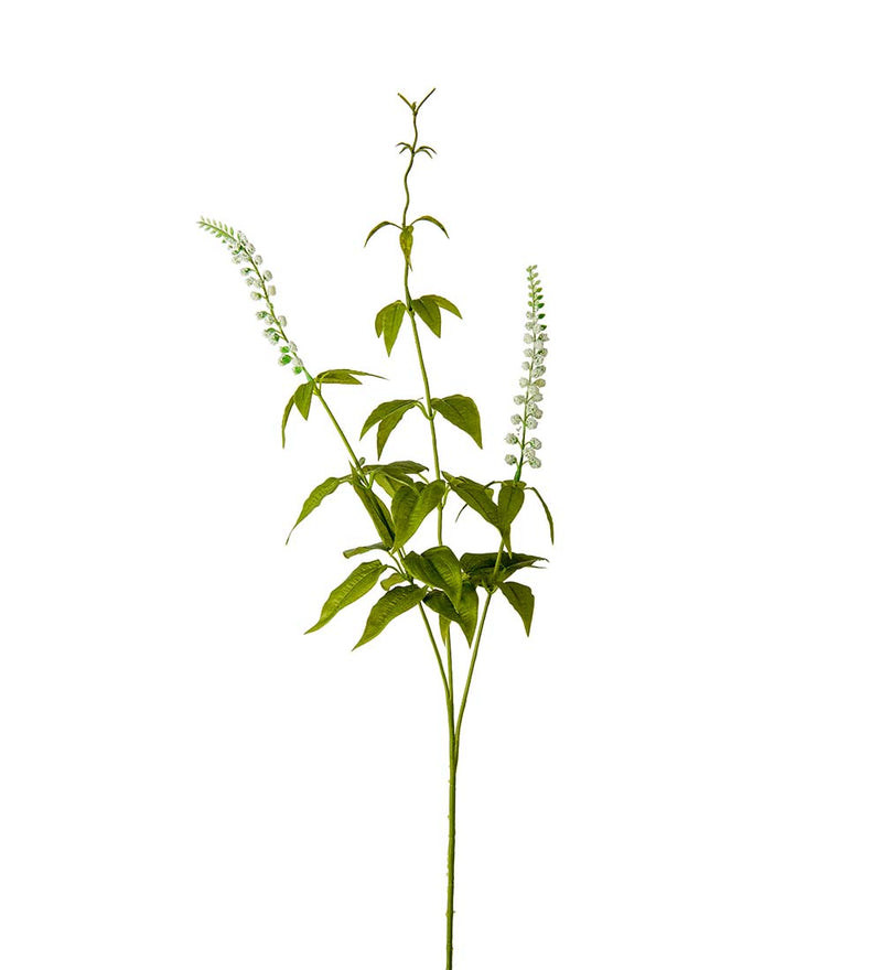 Silkeblomst Lavendel - 70 cm