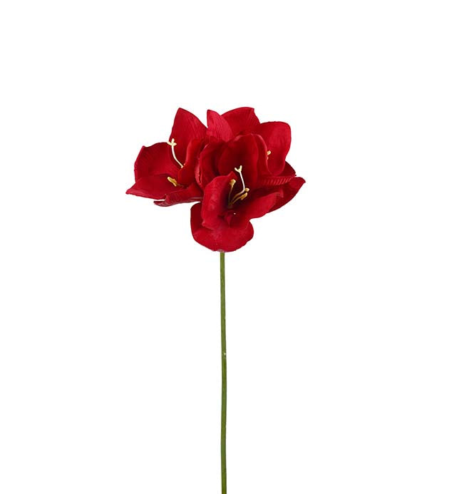 Amaryllis 63 cm.