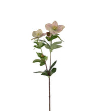 Julerose rosa/grøn, 63 cm