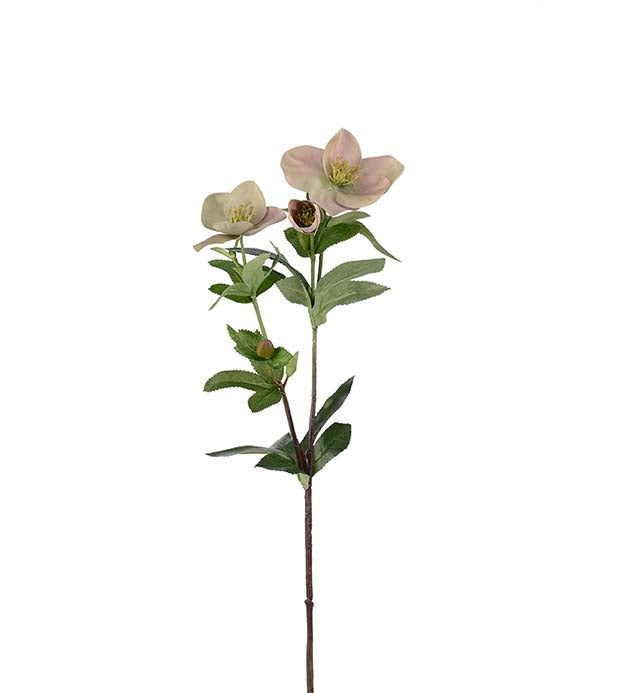 Julerose rosa/grøn, 63 cm