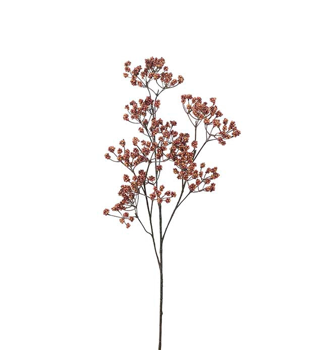 Bærkvist i orange – 80 cm