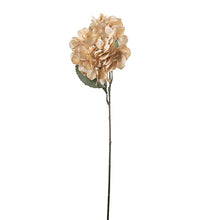 Hortensia - 60 cm.