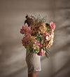 Hortensia - 60 cm.
