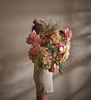 Hortensia - 60 cm.