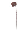Bærkvist i burgundy – 74 cm