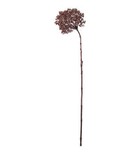 Bærkvist i burgundy – 74 cm