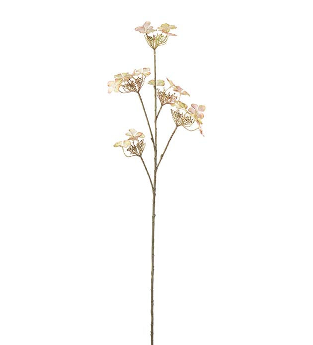 Hortensia lys grøn 70 cm.