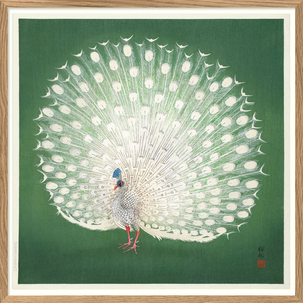 Peacock on Green - 61x61  inkl. ramme