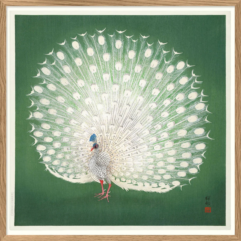 Peacock on Green - 61x61  inkl. ramme