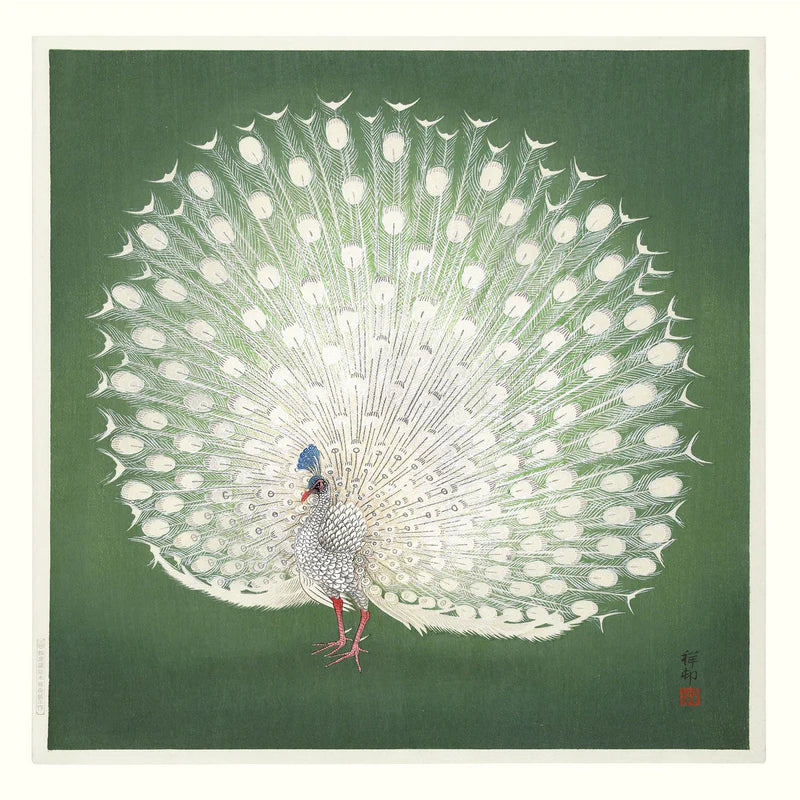 Peacock on Green - 61x61  inkl. ramme