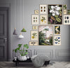 Jungle Scenery - 30x40  inkl. ramme