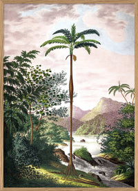 Jungle Scenery - 30x40  inkl. ramme