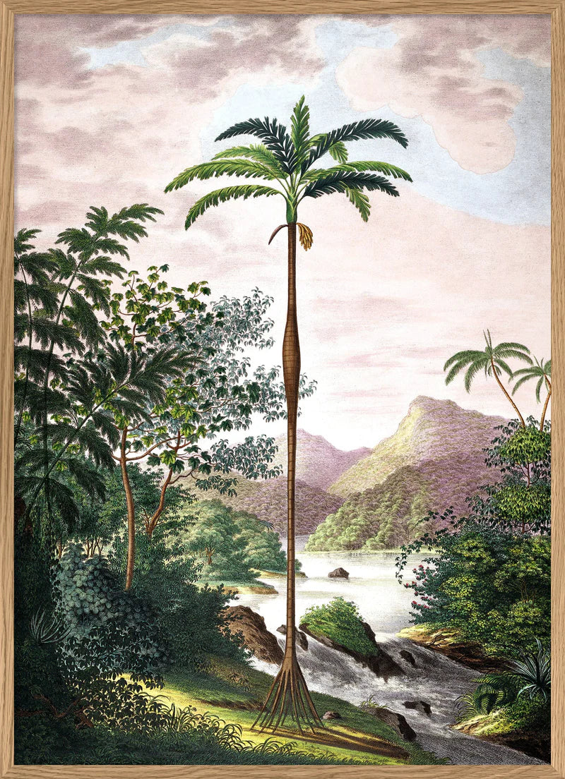 Jungle Scenery - 30x40  inkl. ramme