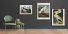Louisiana Heron 70 x 100 cm.