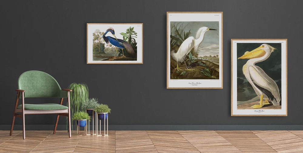 Louisiana Heron 70 x 100 cm.