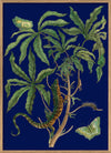 Jatropha Moth and Lezard 50 x 70 cm.