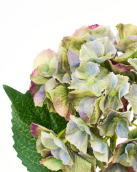 Kunstig hortensia i grøn og blå