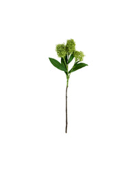 Kunstig skimmia i grøn