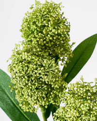 Kunstig skimmia i grøn