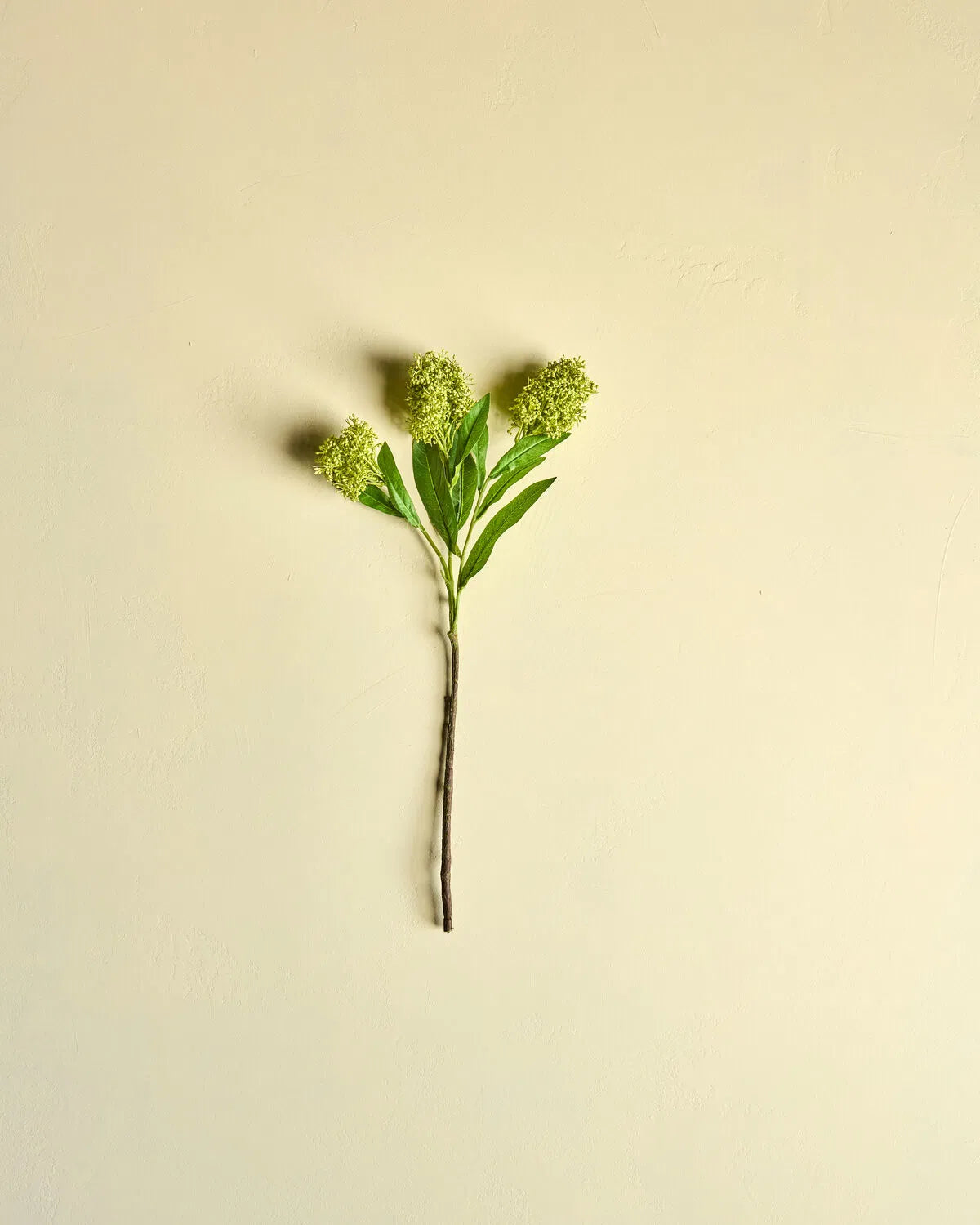 Kunstig skimmia i grøn