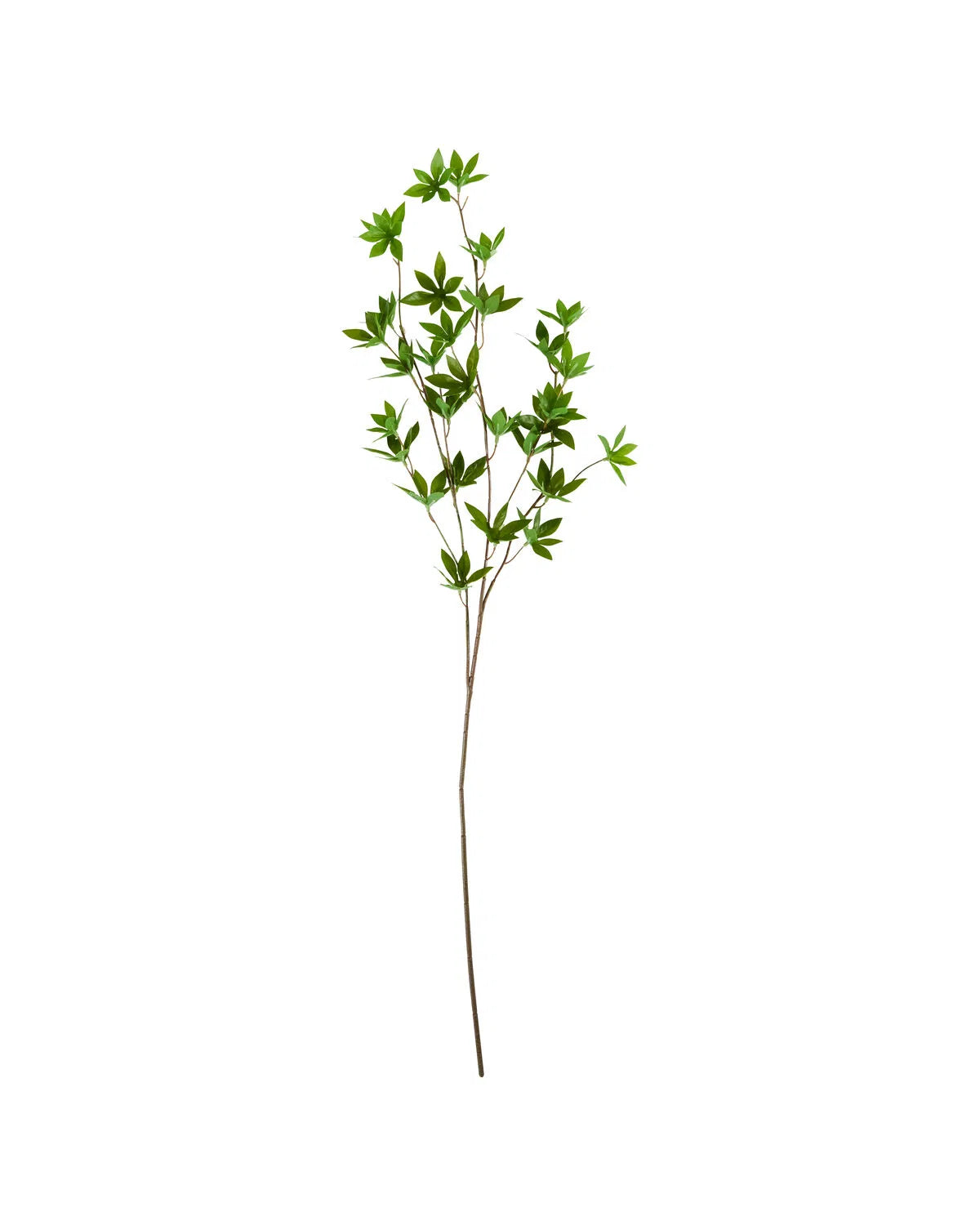 Kunstig japonica-gren i grøn