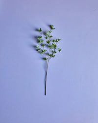 Kunstig japonica-gren i grøn