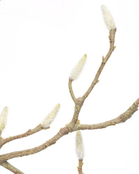 Kunstig magnoliagren i hvid