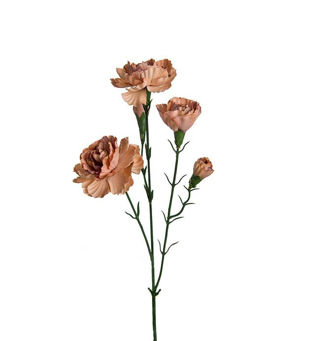 Elegant nellike 65 cm