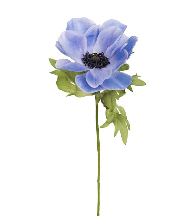 Silkeblomst Anemone - 43 cm