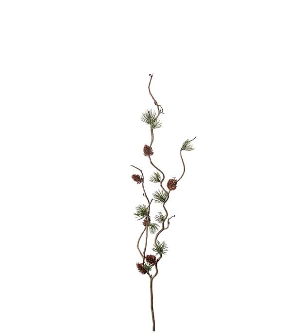 Lærkegren 60 cm.