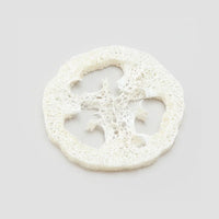Loofah svamp