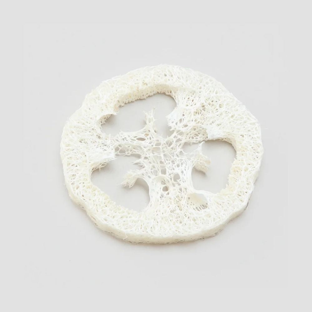 Loofah svamp