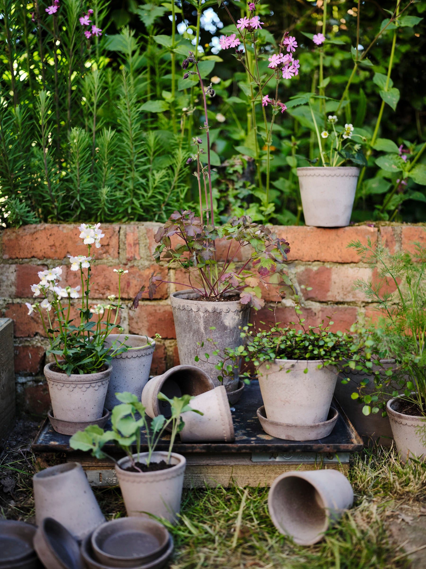 København Raw Grey Ø 12 cm.