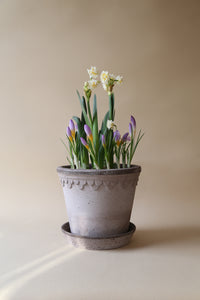 København Raw Grey Ø 12 cm.