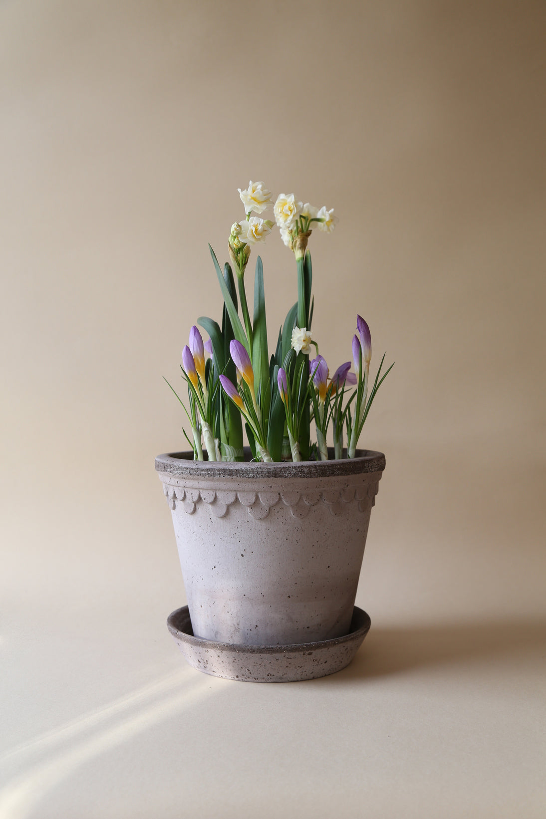 København Raw Grey Ø 12 cm.