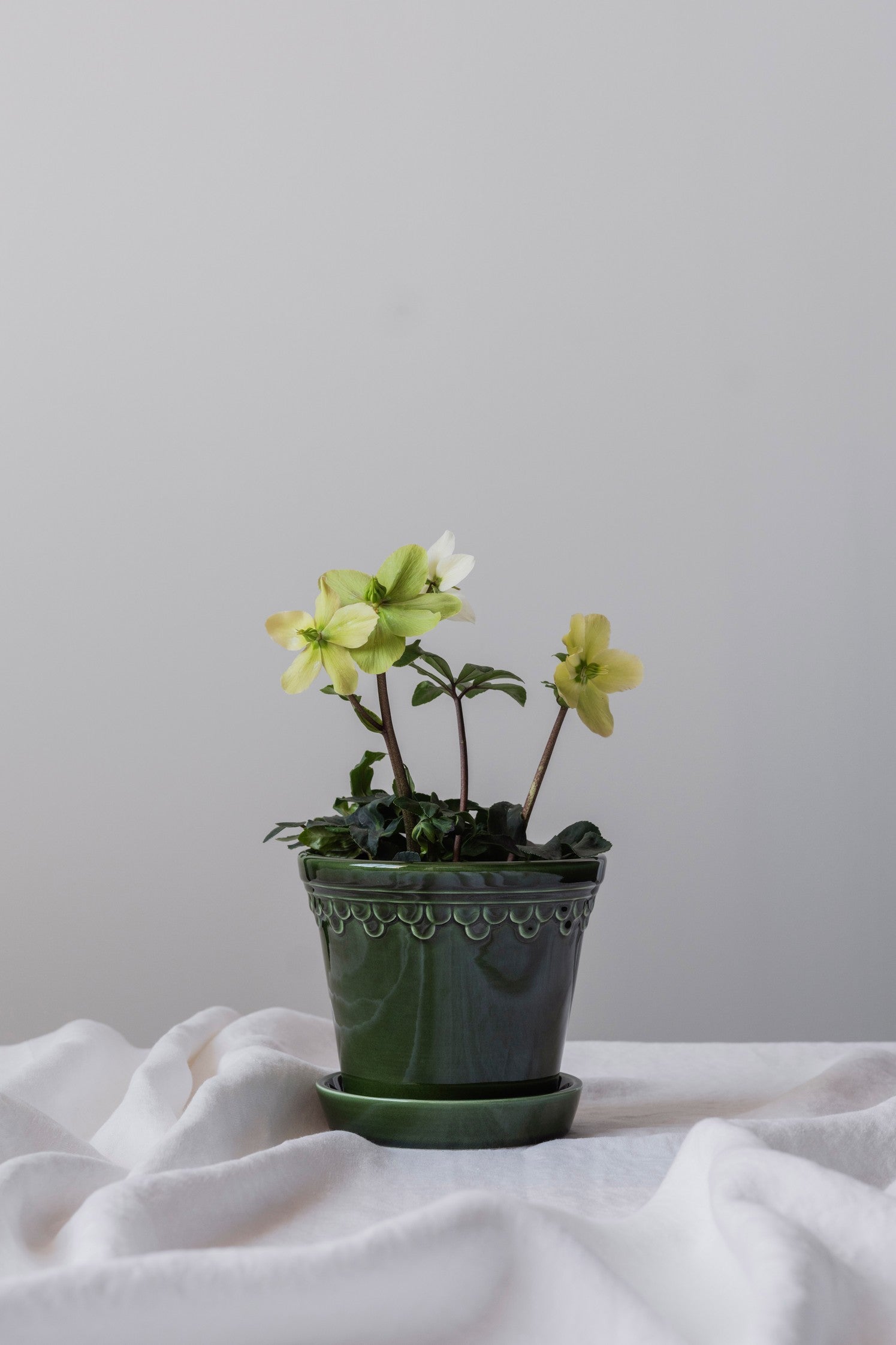 København glaseret Emerald green Ø 12 cm.