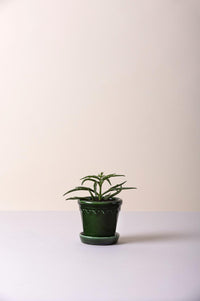 København glaseret Emerald green Ø 12 cm.