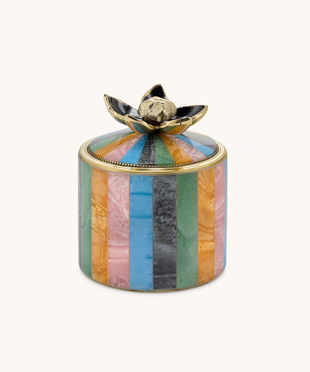 Liv circus box multi color